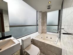 Angullia Park Residences @ Orchard (D10), Apartment #498097071